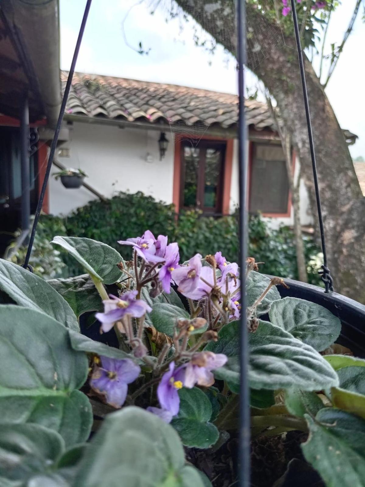 Hotel Boutique Casabella Coatepec  Eksteriør bilde