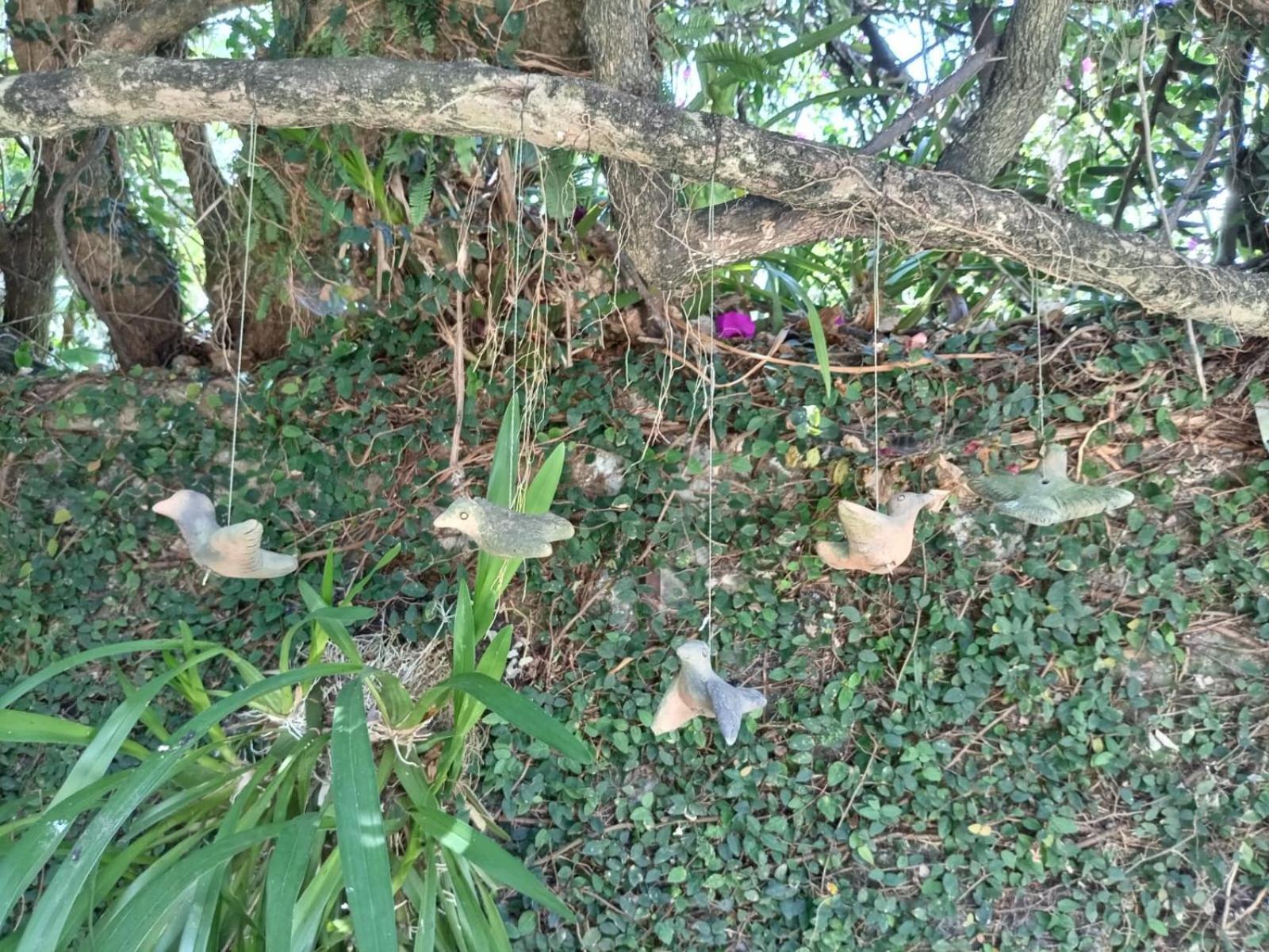 Hotel Boutique Casabella Coatepec  Eksteriør bilde