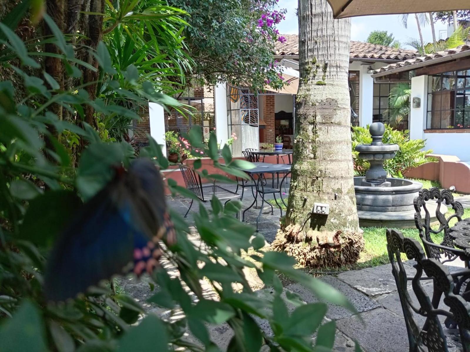 Hotel Boutique Casabella Coatepec  Eksteriør bilde