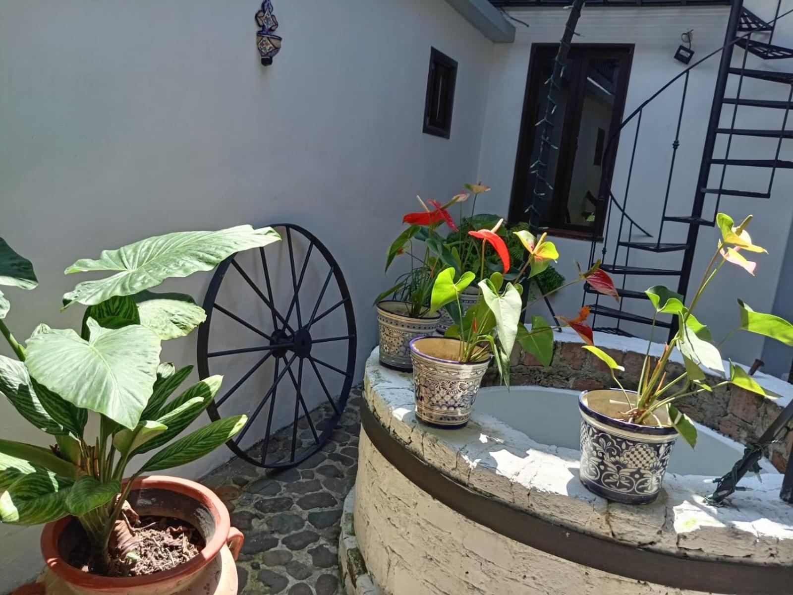 Hotel Boutique Casabella Coatepec  Eksteriør bilde